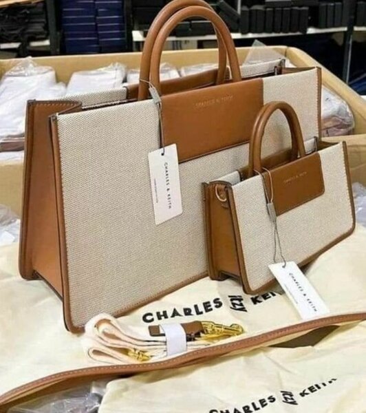 Sac à main Charles & Keith en toile beige et cuir marron