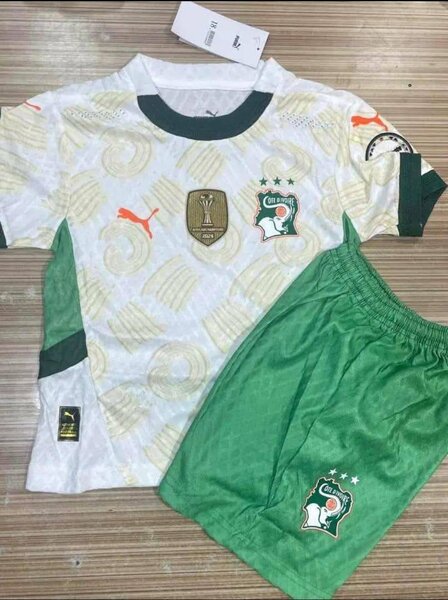 Maillot  Côte d'Ivoire pro max