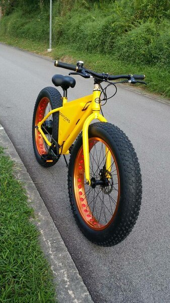 Vélo Électrique Tout-Terrain