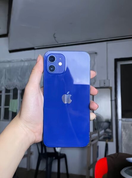 iPhone 12 Bleu - Design Épuré