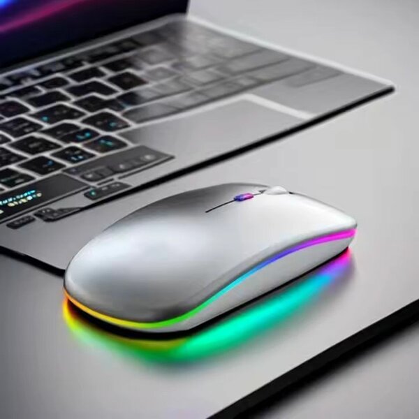 Souris Ergonomique TYPE-C