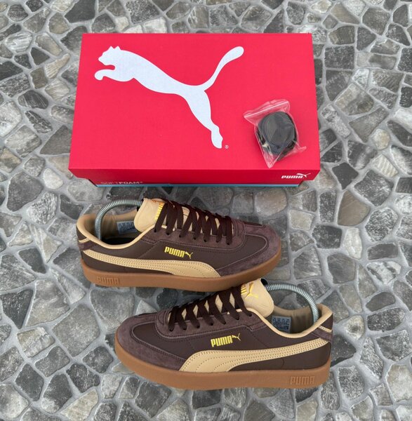 Baskets Puma Marron Homme