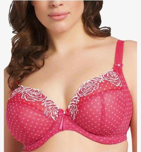 Ladies Bras