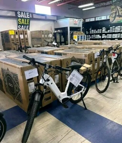 Vélo électrique pliant noir et blanc