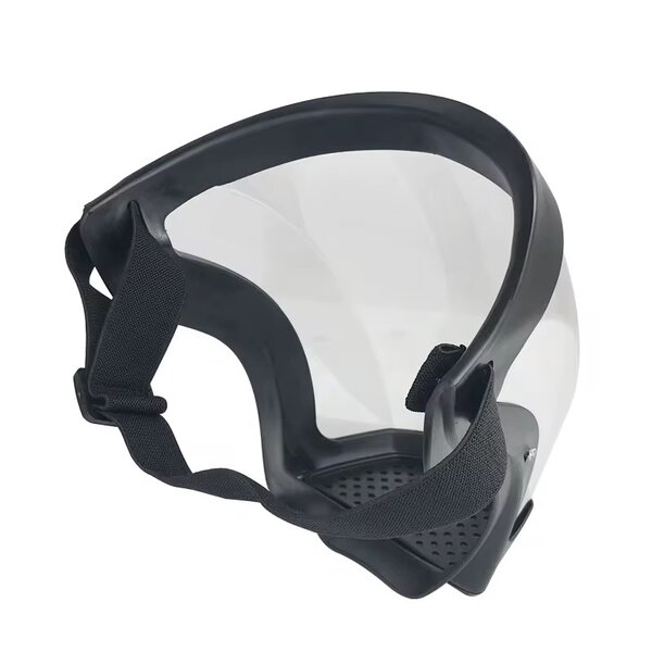 Masque de Protection Facial