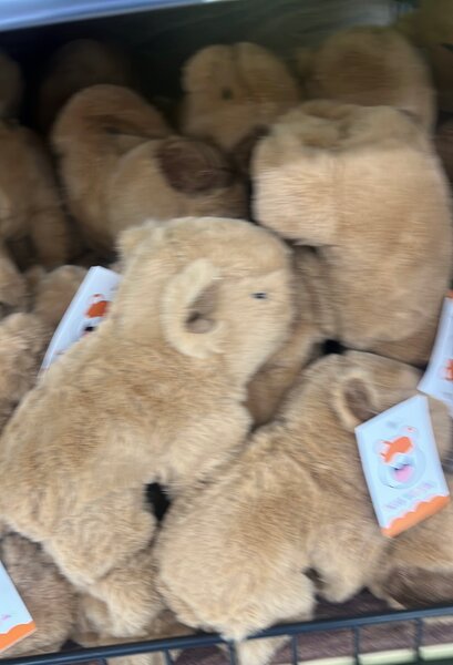 Peluche animal marron doux