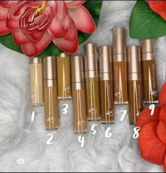 Correcteur Anti-cernes Multi-teintes