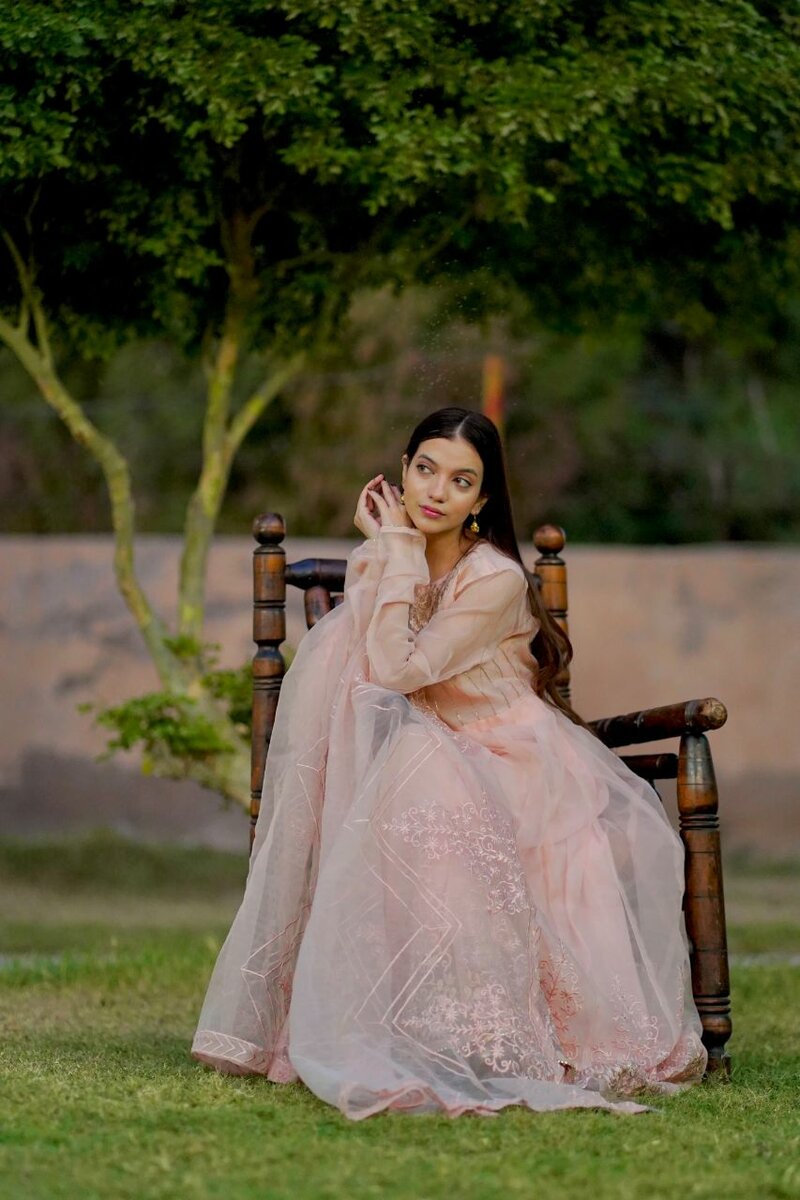 3 Pcs Stitched Embroidered Organza Maxi