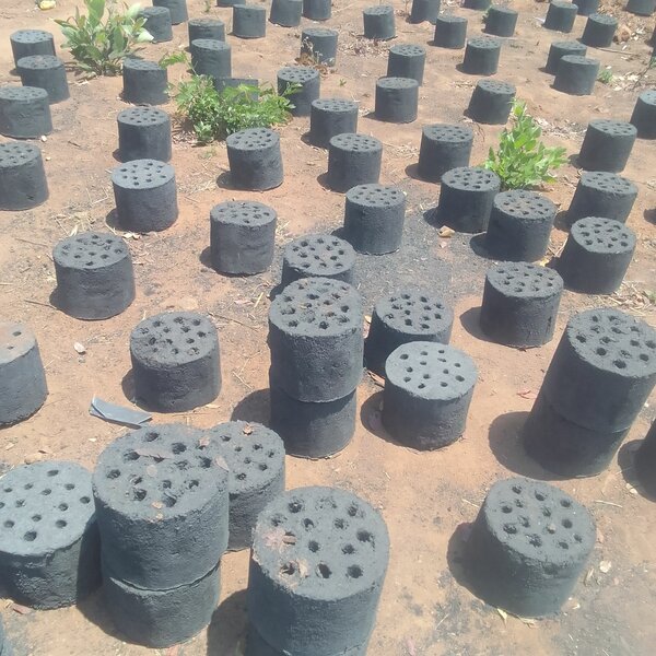 Honeycomb briquettes