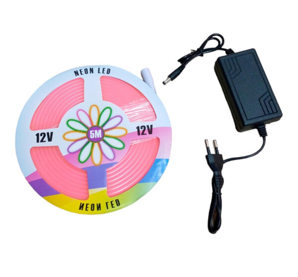 Bande LED Néon 5M 12V