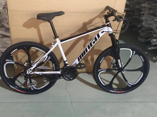 Vélo VTT Tout-Terrain