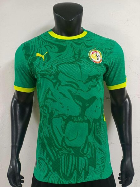 Maillot Sénégal Puma