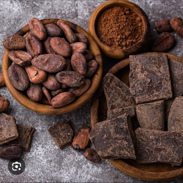 Chocolat Noir brut Bio