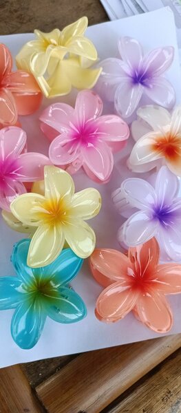 Barrettes fleurs cheveux