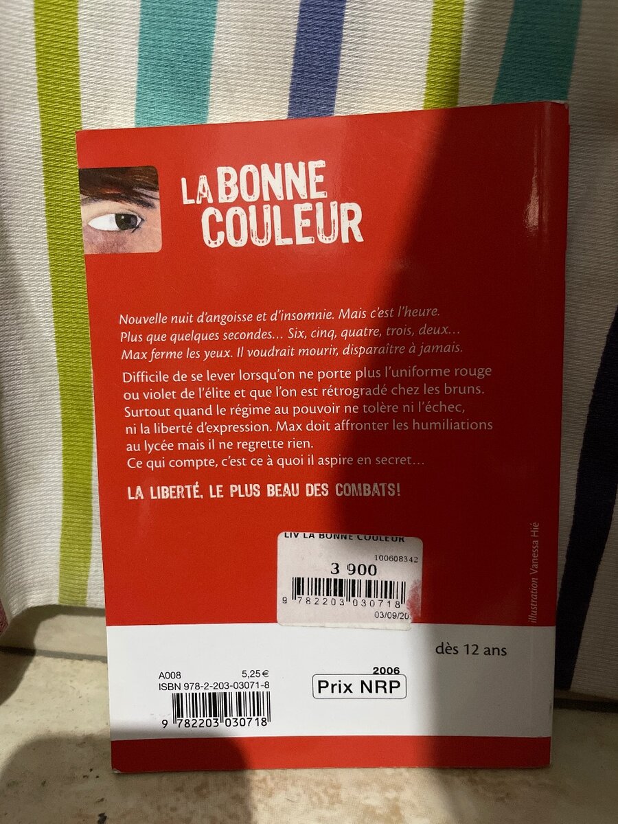 La Bonne Couleur - Roman