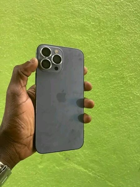 iPhone Pro Max 256 Go