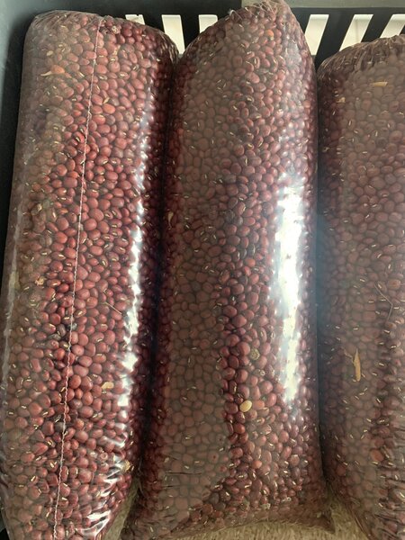 Haricots rouges secs en vrac