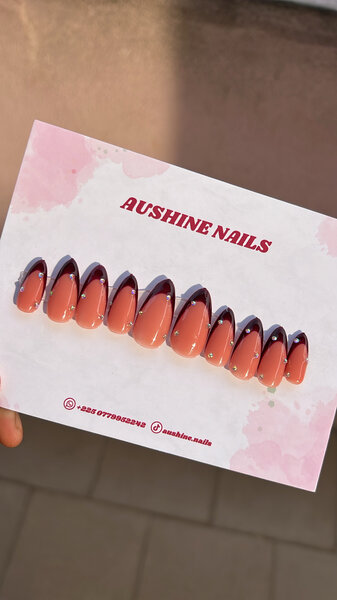 Faux ongles Aushine Nails