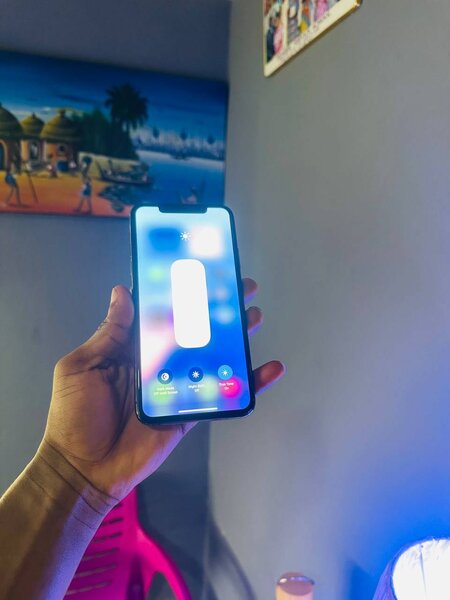 iPhone 11 Pro Max 64 gig Everything is working