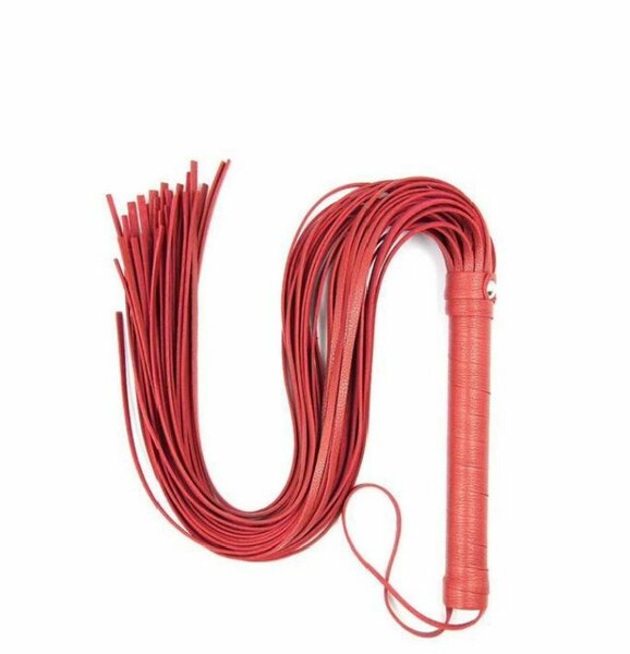 Fouet de Cuir Élégant