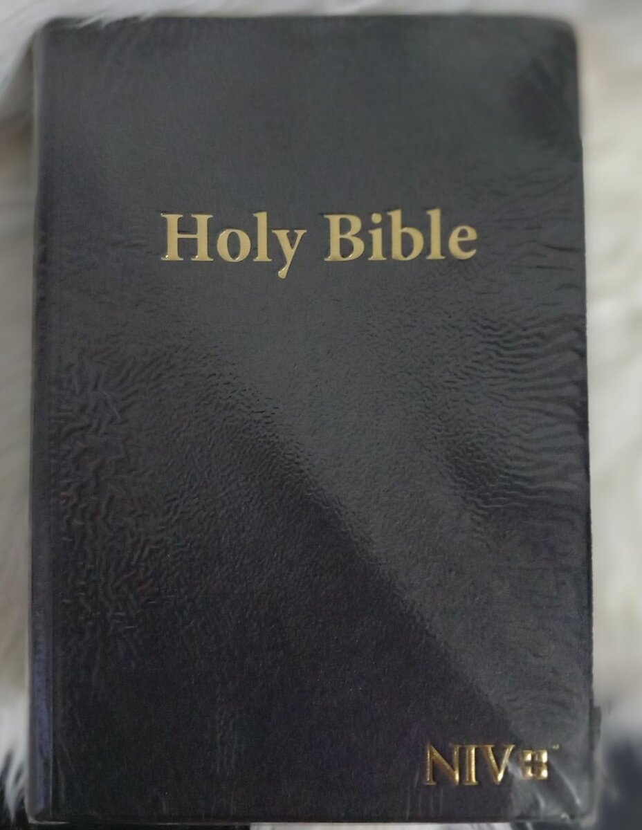HOLY BIBLE (NIV) GAINT PRINT