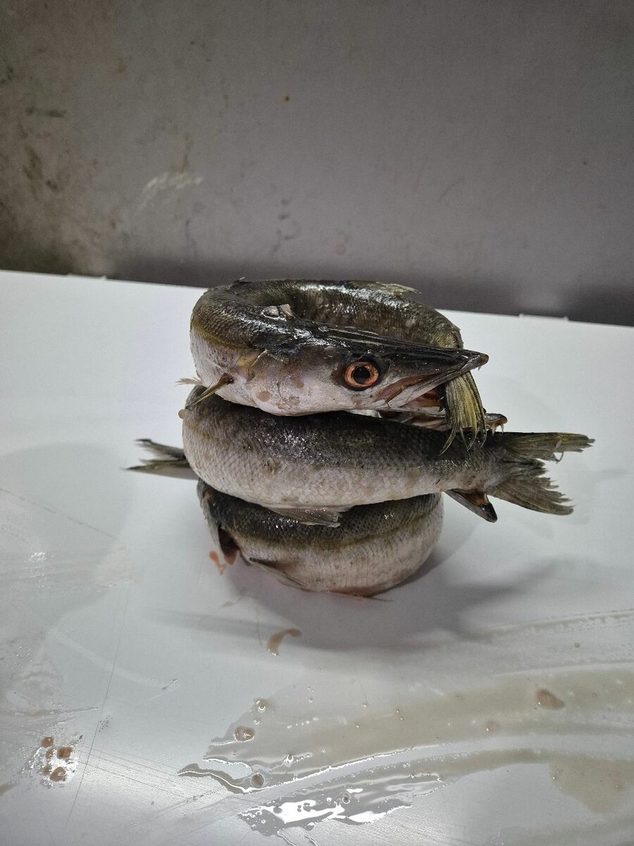 Poisson frais entier