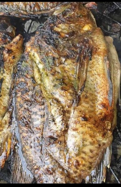 Carpe  braisé du bon poisson