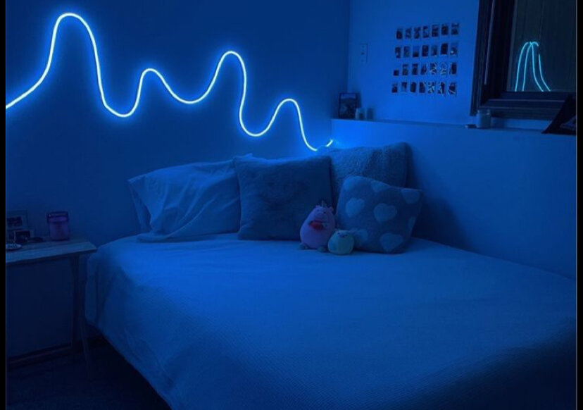 Guirlande Lumineuse LED Bleue