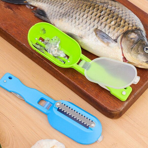 Écailleur de Poissons Efficace