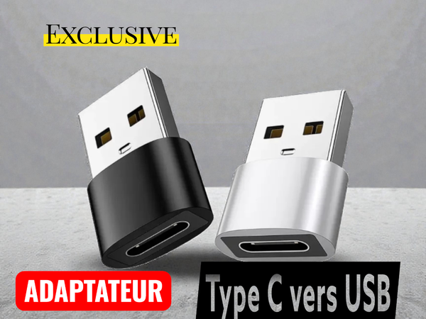 2x Adaptateurs Type-C vers USB