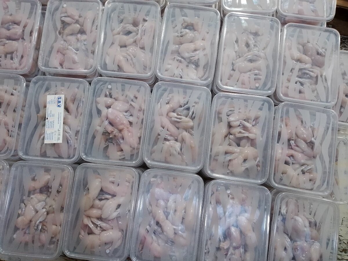 Cuisses de grenouilles fraîches