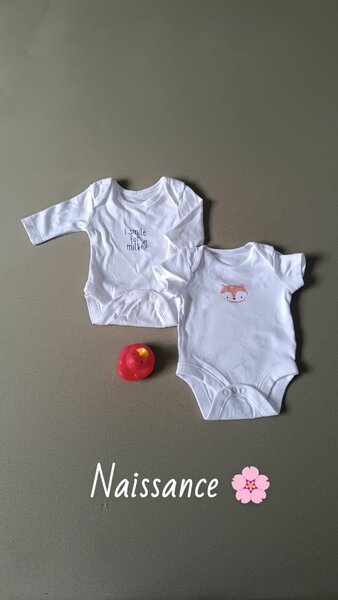 Lot de bodies bébé en coton