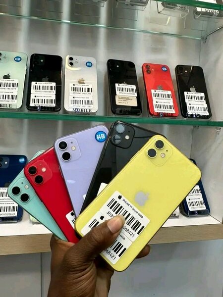 iPhone 11 - Multicouleur