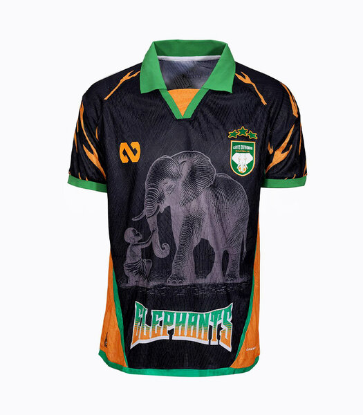 Maillot Côte d'Ivoire Éléphants