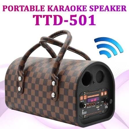 Enceinte karaoké portable TTD-501