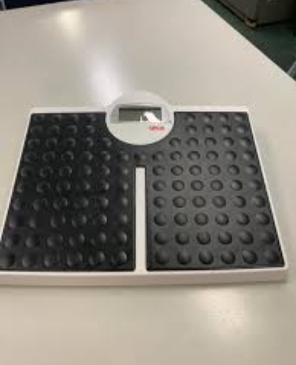 SECA 813 WEIGHING SCALE