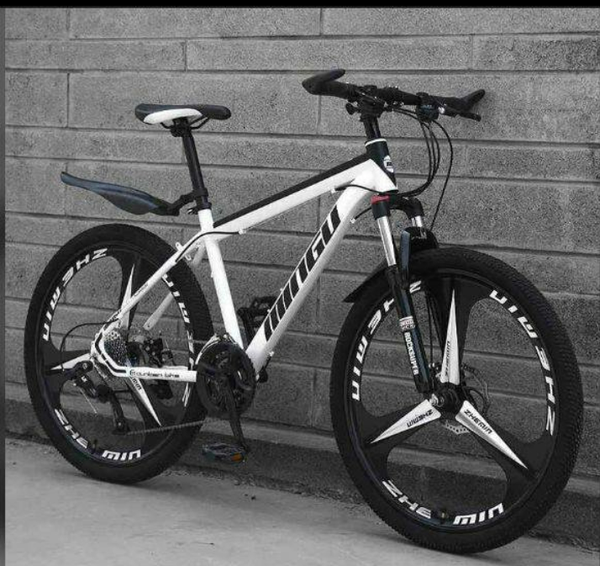 VTT tout-terrain performant