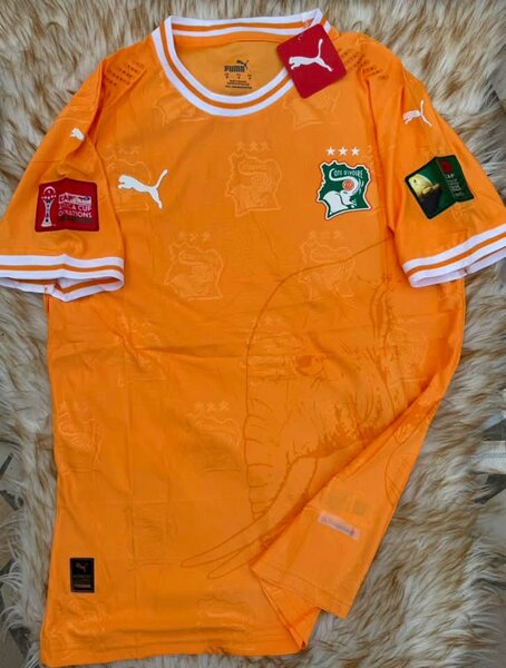Maillot Côte d'Ivoire Puma