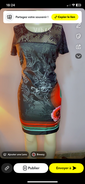 Robe élégante en dentelle