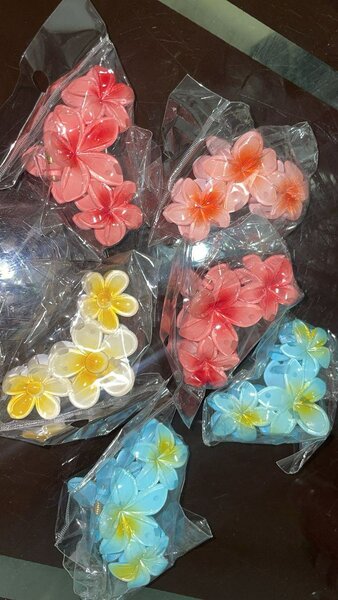 Fleurs décoratives colorées