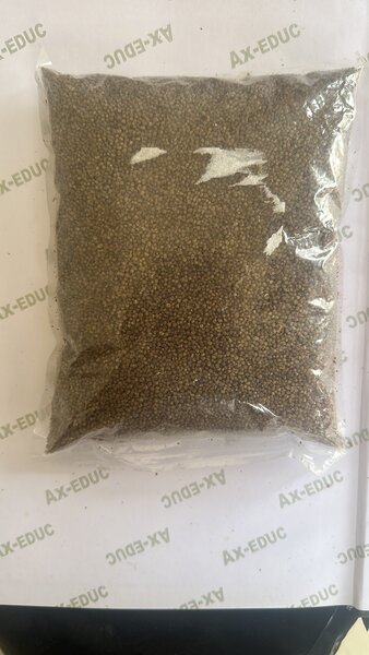 Grain de dêguê 1kg