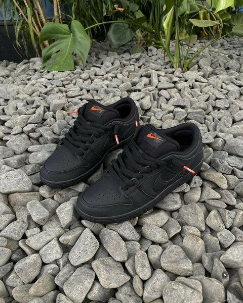 Nike sb