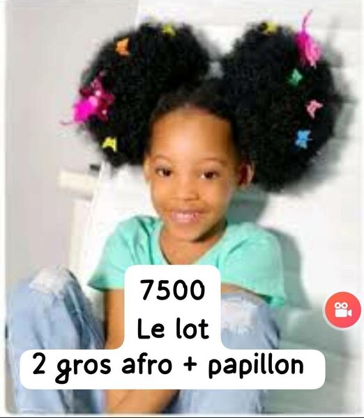 Lot pince à cheveux afro