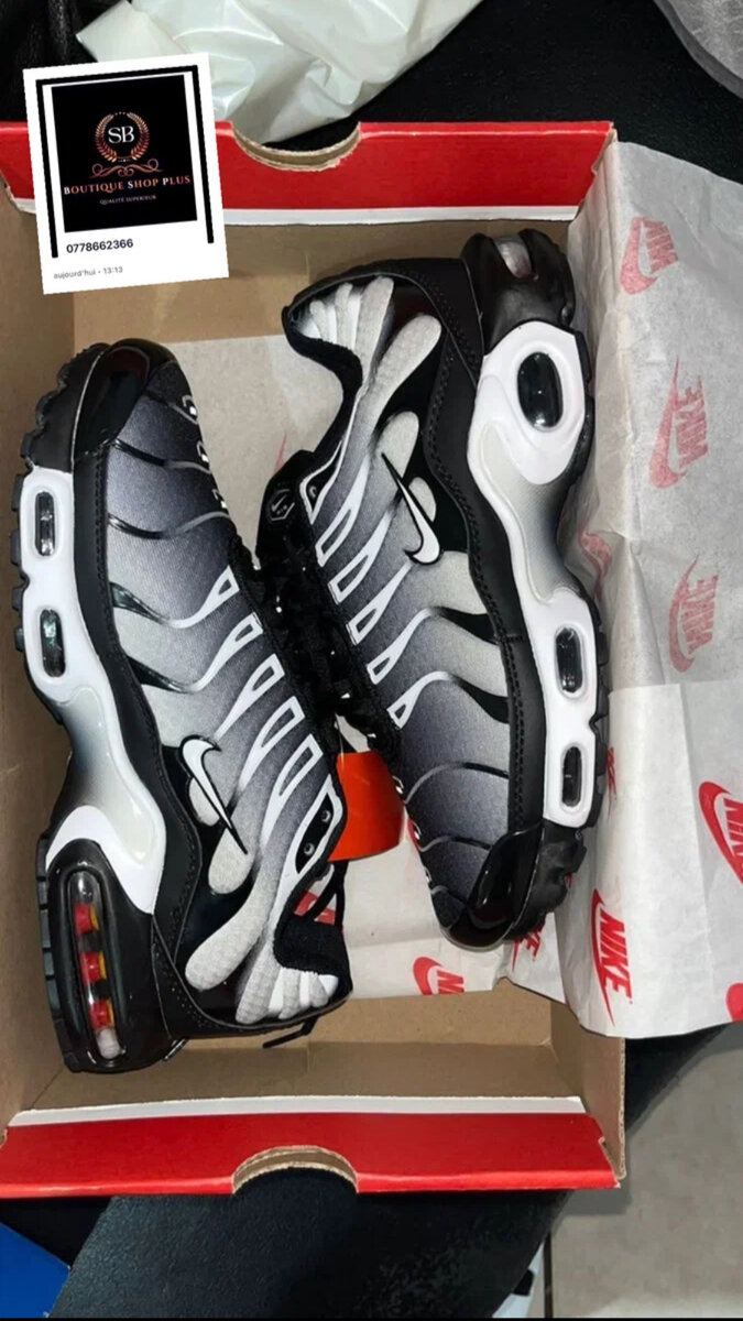 Chaussures Nike Air Max