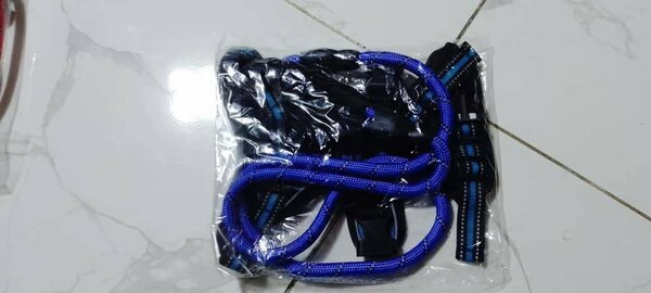 Harnais et laisse pour chien