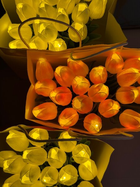 Светящийся тюльпаны