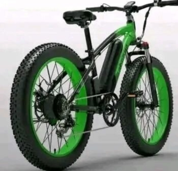 Vélo Électrique Fat Bike Vert