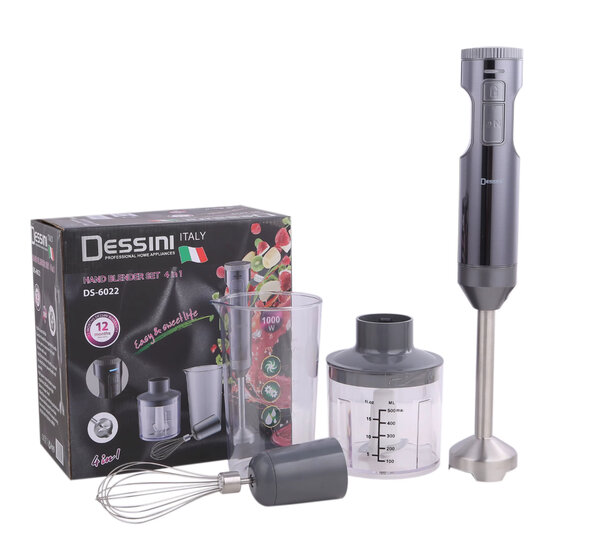 Mixeur plongeant 4 en 1 Dessini