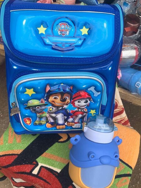 Kids Cartoon Backpack Set