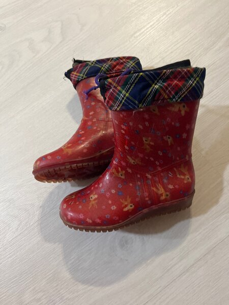 Резиновые сапоги